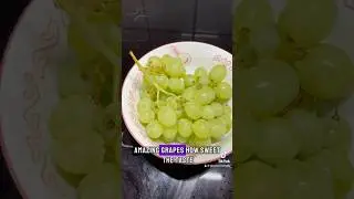 AMAZING GRAPES #amazinggrapes #amazinggrace #glassercomedy
