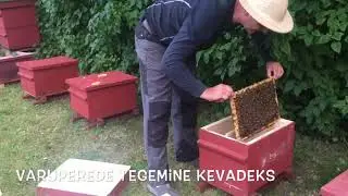 Varupered kevadeks
