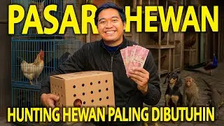 HUNTING HEWAN PALING DIBUTUHIN KE PASAR HEWAN TERBESAR BANDUNG! SEMOGA BISA BERANAK BANYAK!