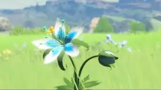 Every Living Breath of the Wild Moment | Legend of Zelda Breath of the Wild Trailer | Fan Made