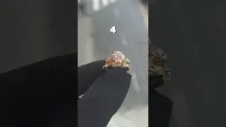 Проверка на наличие парня...