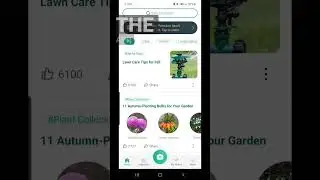 The Best Free Plant ID App #deer #deerhunting #wildlife #trees #habitat  