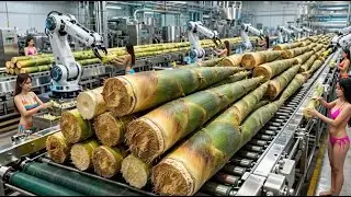 Inside a High Tech Bamboo Shoot Factory You&rsquo;ve Never Seen Before