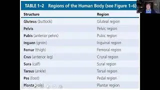 Chap 1 Language of Anatomy Video 3
