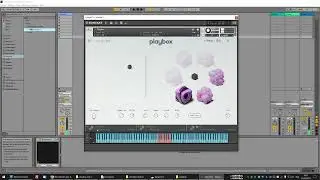 Test Rapide Playbox/Kontakt VST sous Ableton 11