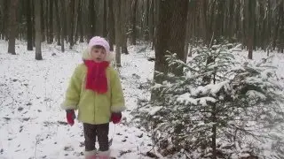 Ой у місті Вефлеємі широка долина