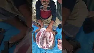 Amazing Goat Meat Cutting Skills #goatmeatcutting #trending #meatcutting #youtubeshorts