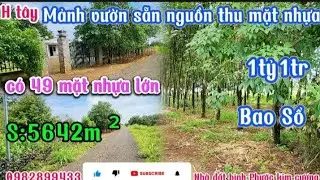 S133/Mảnh vườn mặt nhựa th&ocirc;ng sẵn nguồn thu 49x125x133=5642m &sup2; Cln