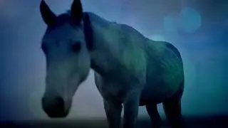 tbc - Turquoise Blues For A Dying Planet (Quiet Joys Of Hexagons) (Sandy Denny vs Boards of Canada)