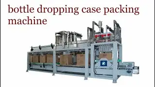 Spray Insecticide Melt Can Drop Carton Case Packer#500MLMeltJarCanDroppingCasePackingMachine