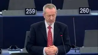 RED II Debate Strasbourg