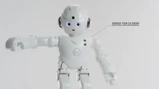 Lynx The First Video Enabled Humanoid Robot with A