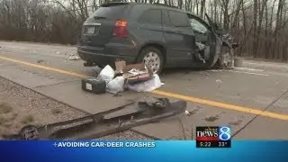 Avoiding car-deer crashes