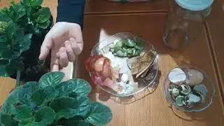 Bitki besini nasıl yapılır?, evde &ccedil;i&ccedil;ekler i&ccedil;in besin yapımı nasıl olmalı?
