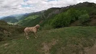 Z Cain do Poncebos 4x4