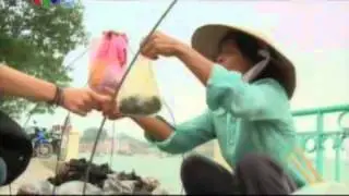 SMSGroup vn  &Aacute;O LỚP, &Aacute;O ĐỒNG PHỤC, ĐỒNG PHỤC LỚP, ĐỒNG PHỤC C TY, DONG PHUC, AO PHONG, AO LOP Tin tuc 2