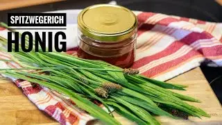 🍯 🌱  magische Heilkr&auml;fte des Spitzwegerichs - super easy DIY Hustensaft und Pflaster 🍯🌱