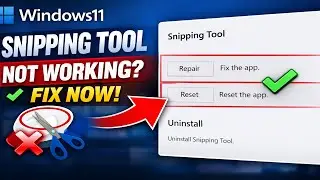 Fix Snipping Tool Not Working in Windows 11 (100% Working Methods)