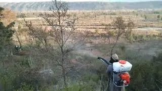 Locust control operation