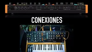 TODO sobre el Behringer Poly D - Todas las conexiones - (Tutorial Avanzado)