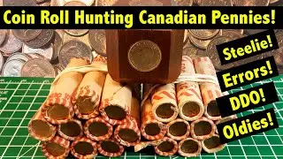 Coin Roll Hunting Canadian Pennies - Errors! Varieties! Steelie! This hunt has everything!