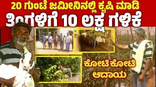 ಇಪ್ಪತ್ತು ಗುಂಟೆ ಜಮೀನಿನಲ್ಲಿ ಕೃಷಿ ಮಾಡಿ ತಿಂಗಳಿಗೆ 10 ಲಕ್ಷ ಆದಾಯ | success story