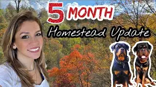 5 Month UPDATE on Our New Homestead in West Virginia 