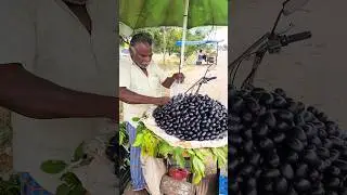 Huge Jamun Fruit #jamun #villagefood #tamilandu