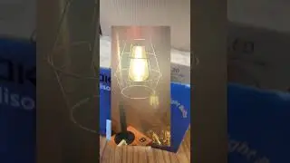 Beautiful Dimmable Vintage Edison LED Light Bulbs, pack of 6! #shorts