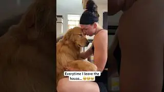 Talking to my emotional golden retriever like he&rsquo;s a person