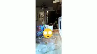 How to make Patron shots