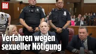 Harvey Weinstein drohen 20 weitere Jahre Gef&auml;ngnis