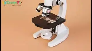 Comment utiliser un microscope enfant XSP-01 / XSP-02 &ndash; Guide simple pas &agrave; pas 🔬