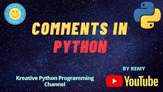 Using Comments in Python Program