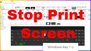 How to Disable the Screenshot Button (PrtSc) on Windows