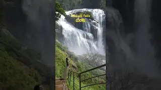 Most beautiful waterfall of Coorg, Karnataka | Mallalli Falls | Traveller | Monsoon | Waterfalls