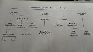 kind of Divorce in Muslim law....