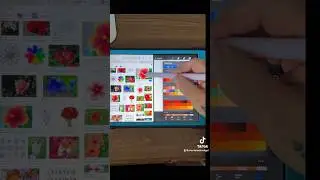 How to make a color palette, using an image easily in procreate and Split View