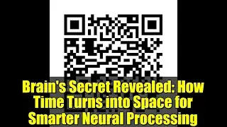 Brain's Secret Revealed: How Time Turns into Space for Smarter Neural Processing