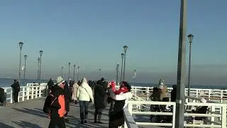 Ptaki - Film 2
