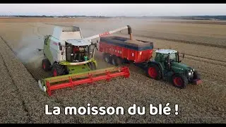 La moisson du bl&eacute; 2025 ! (Drone)
