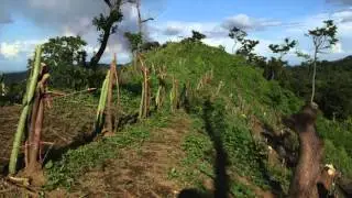 Conserving 140 arces of virgin tropical forest with eco-tourism
