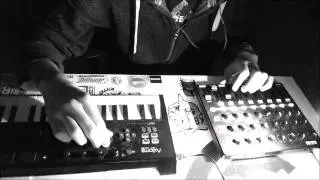 Mad Skanker - Freestyle dub session - Babylon's Fall