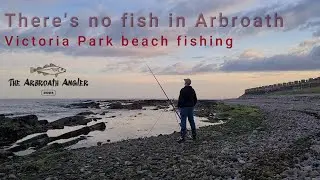 there's no fish in Arbroath! Victoria Park beach fishing