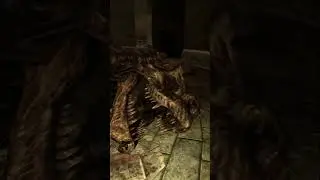 Gdybym był Raiderem, wziąłbym tę czaszkę T-Rexa i udekorował nią swoją bazę #fallout3