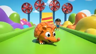 O Sonic Pocket Armadillo Cruzou a Linha do Fim | Rimas e Can&ccedil;&otilde;es Infantis