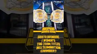 Giusto difendere Women's Tag Team Titles nell'Elimination Chamber? Wrestling Rumble Room ft ALuke_99
