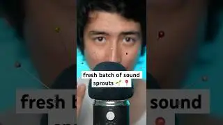 fresh batch of sound sprouts 🌱📍 #asmr