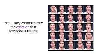 Why Emotions Matter