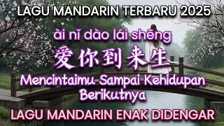 Ai Ni Dao Lai Sheng 爱你到来生 | Lagu Mandarin Terbaru 2025 | Lagu Mandarin Enak Didengar